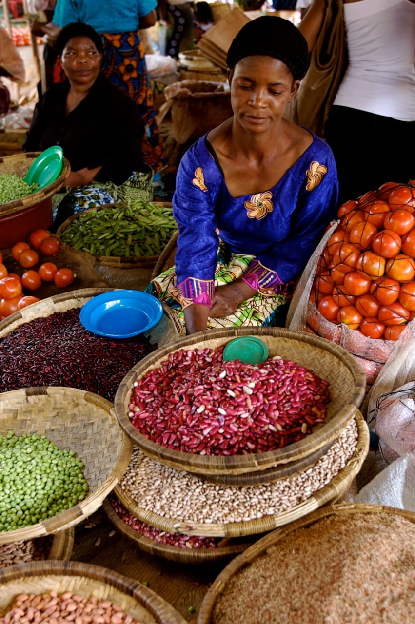 STRONGER IMPACT FUND